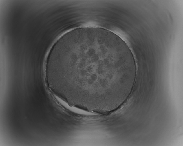 X0000090441008200707131216