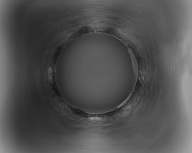 X0000090441010200707131215