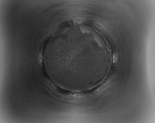 X0000090441011200707131215
