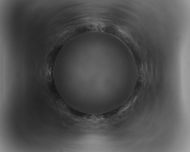 X0000090441013200707131215