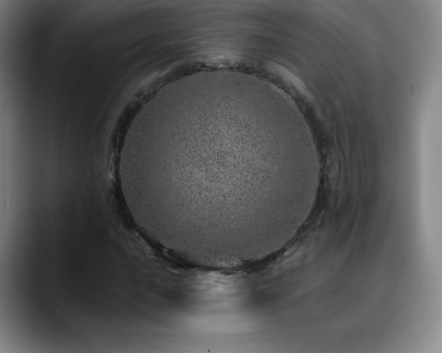 X0000090441016200707131216