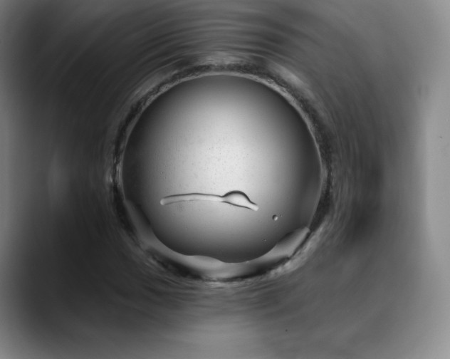 X0000090441017200707131216