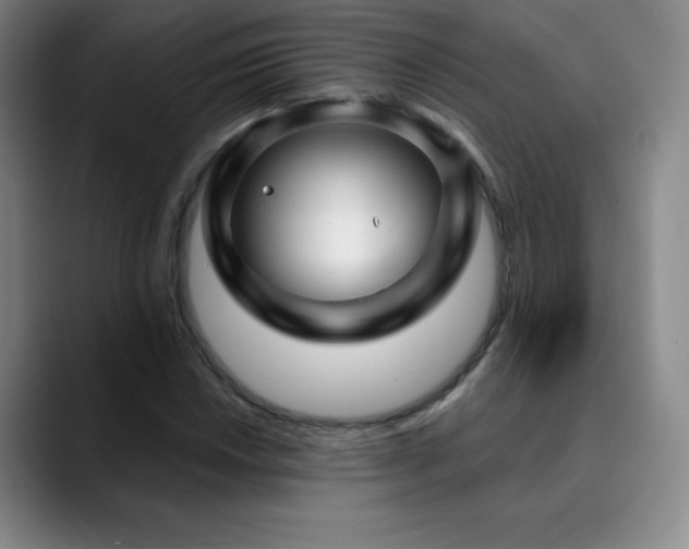 X0000090441018200707131216
