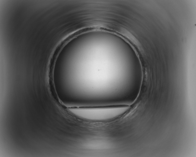 X0000090441020200707131216