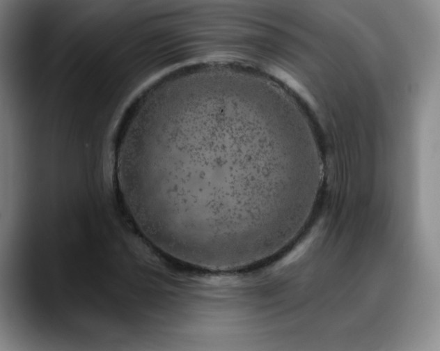 X0000090441021200707131216
