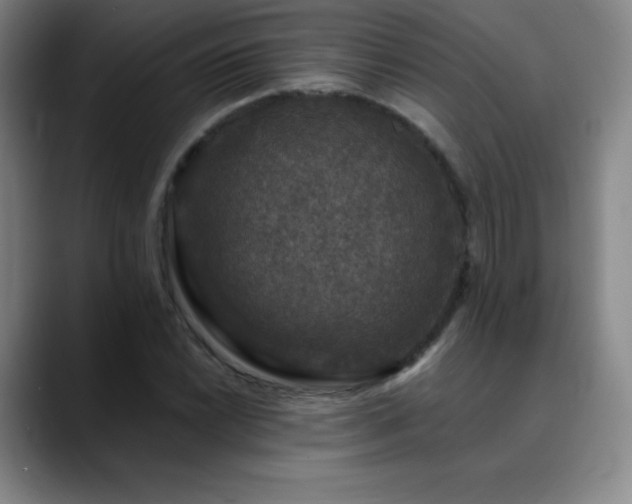 X0000090441022200707131216
