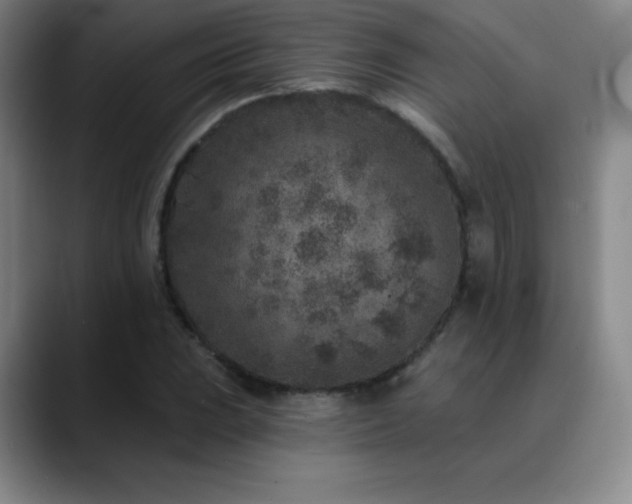 X0000090441023200707131216