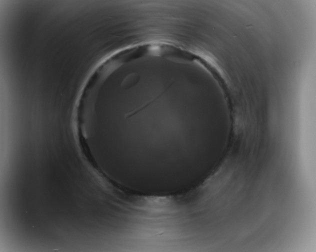 X0000090441024200707131216