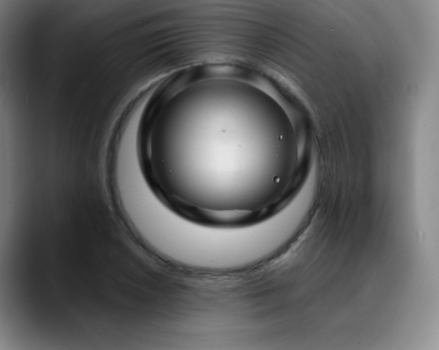 X0000090441026200707131216