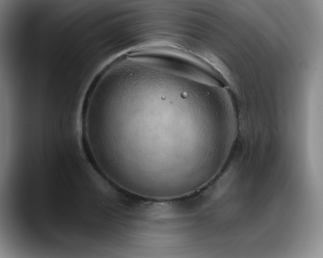 X0000090441028200707131216