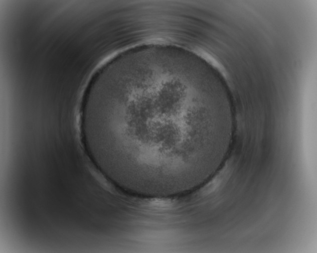 X0000090441029200707131216