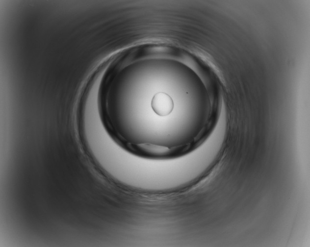 X0000090441030200707131216