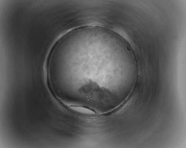 X0000090441032200707131216
