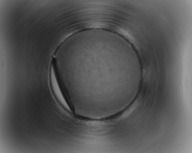 X0000090441033200707131216
