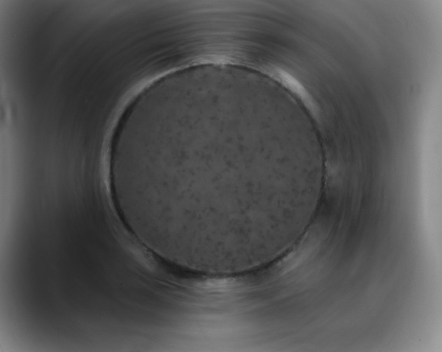 X0000090441035200707131216