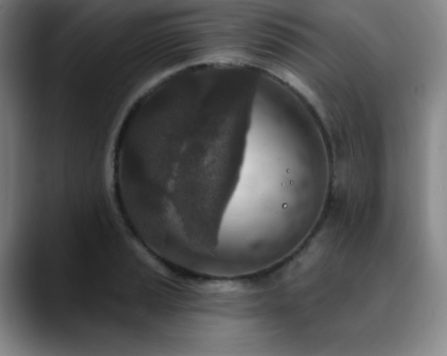 X0000090441037200707131216