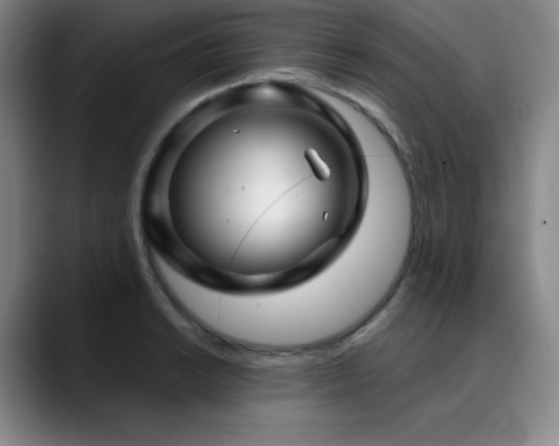 X0000090441038200707131216