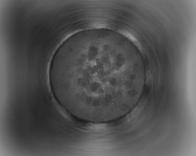 X0000090441039200707131216