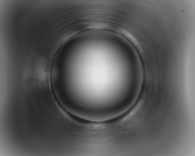 X0000090441041200707131216