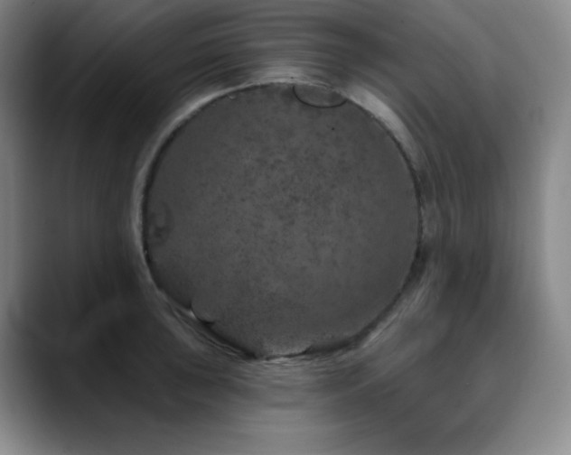 X0000090441043200707131216