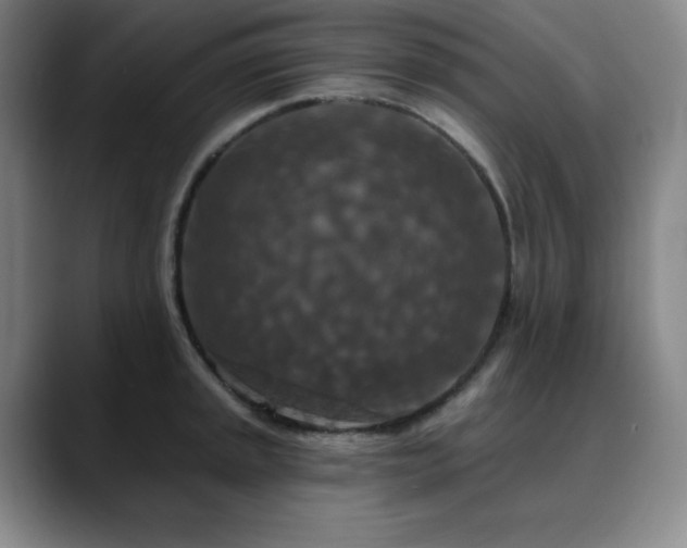 X0000090441045200707131216