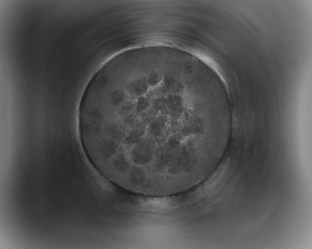 X0000090441047200707131216