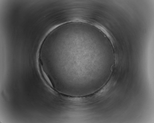 X0000090441048200707131216