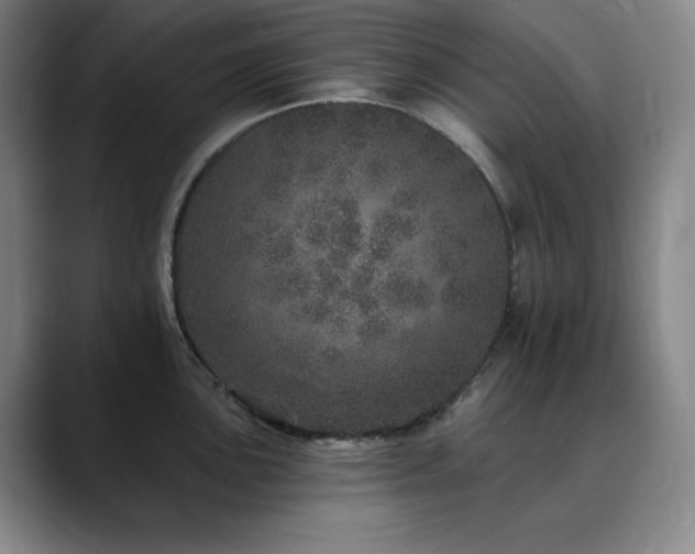 X0000090441051200707131216