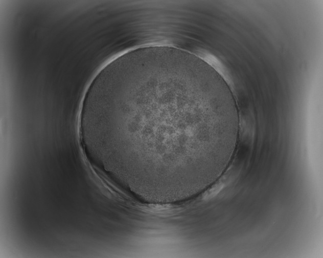 X0000090441052200707131216