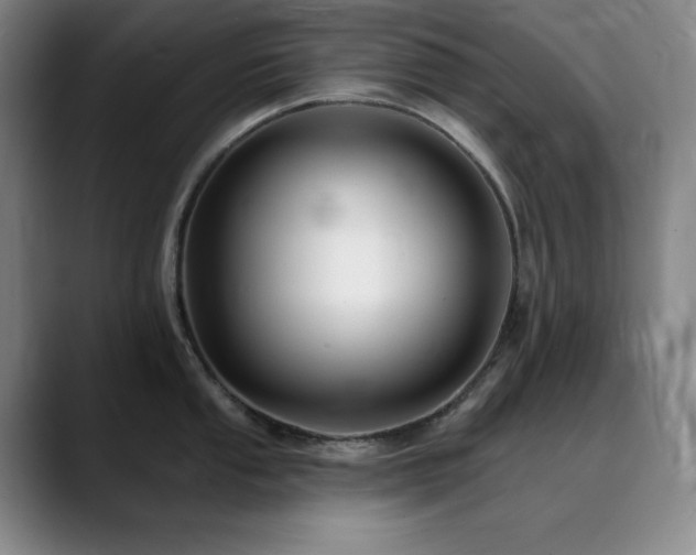 X0000090441053200707131216