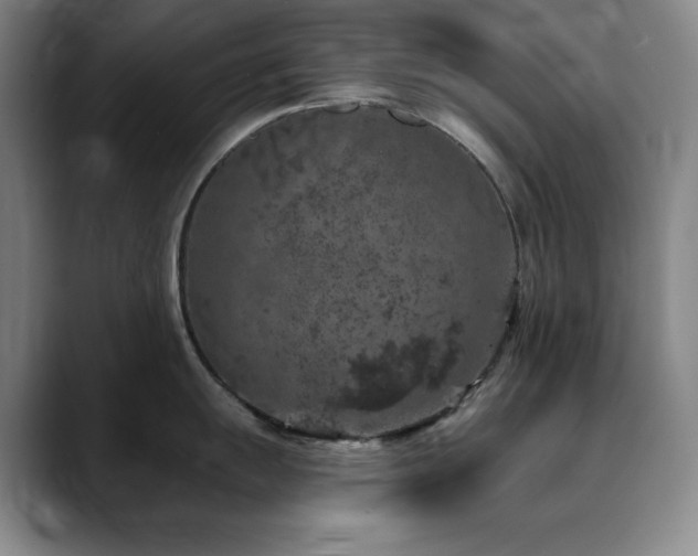 X0000090441055200707131216