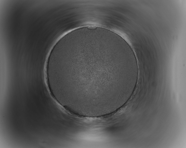 X0000090441056200707131216
