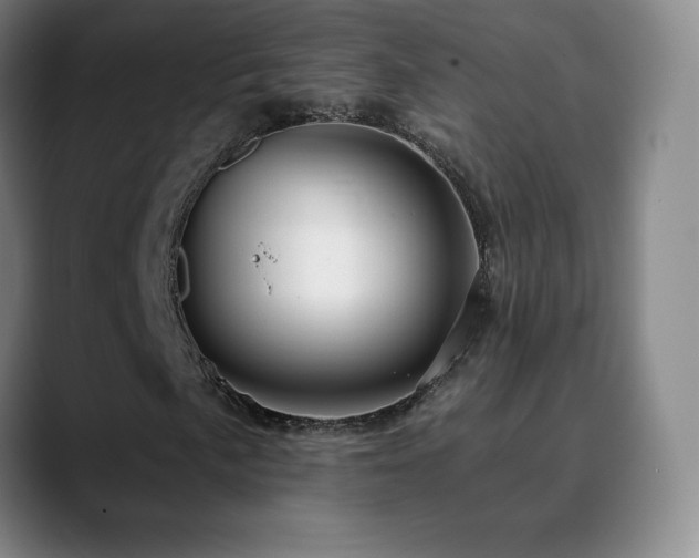 X0000090441057200707131215