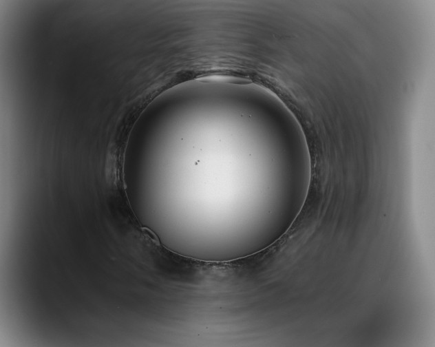 X0000090441058200707131215
