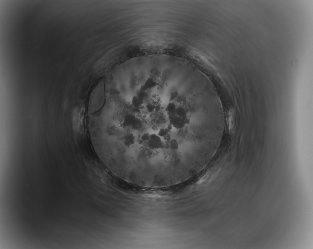 X0000090441059200707131215