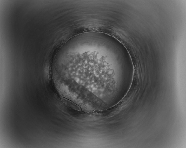 X0000090441060200707131215