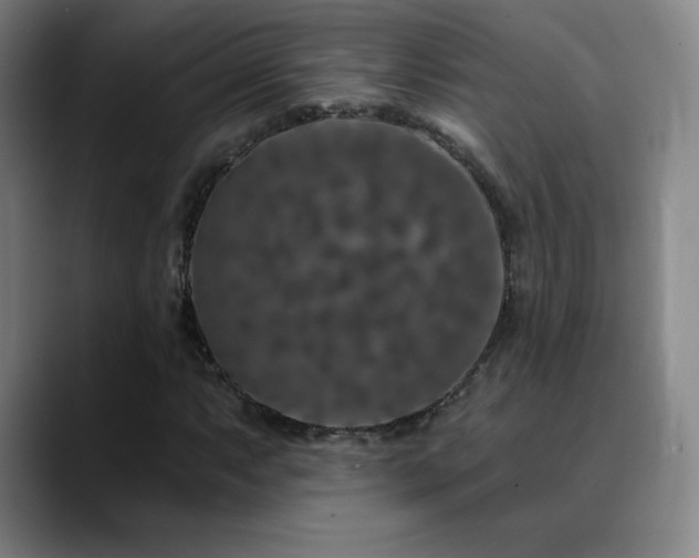 X0000090441063200707131215