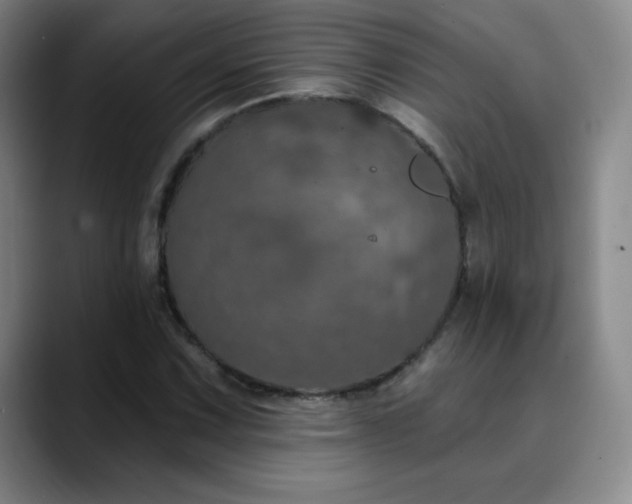 X0000090441067200707131215