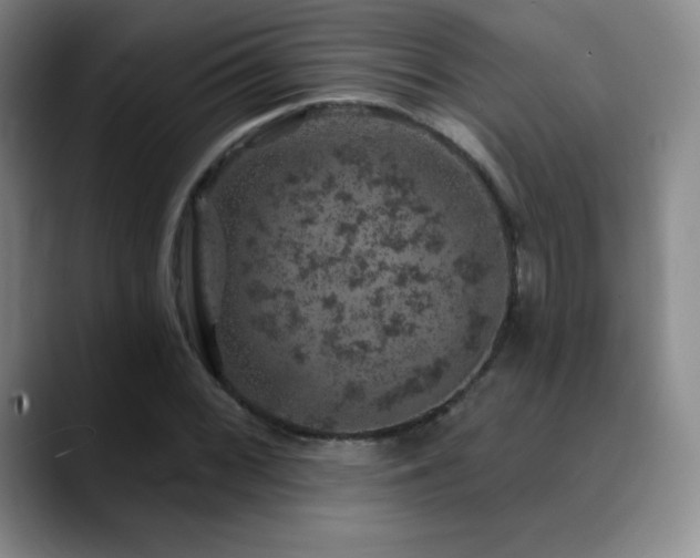 X0000090441068200707131215