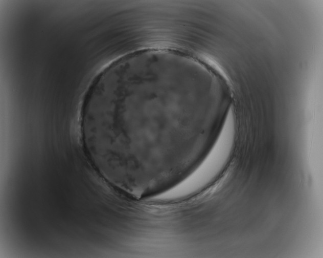 X0000090441071200707131215