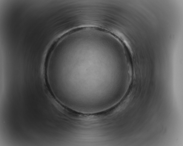 X0000090441072200707131215