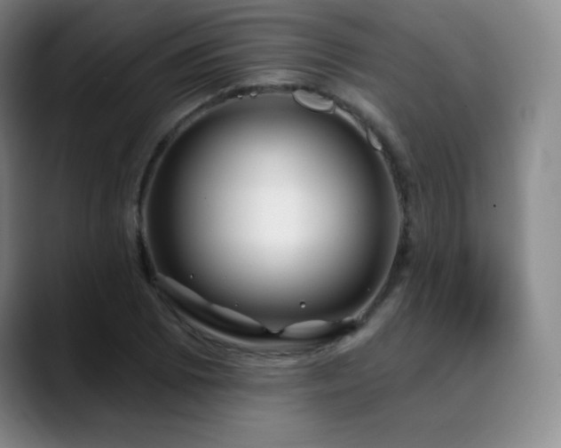 X0000090441073200707131215