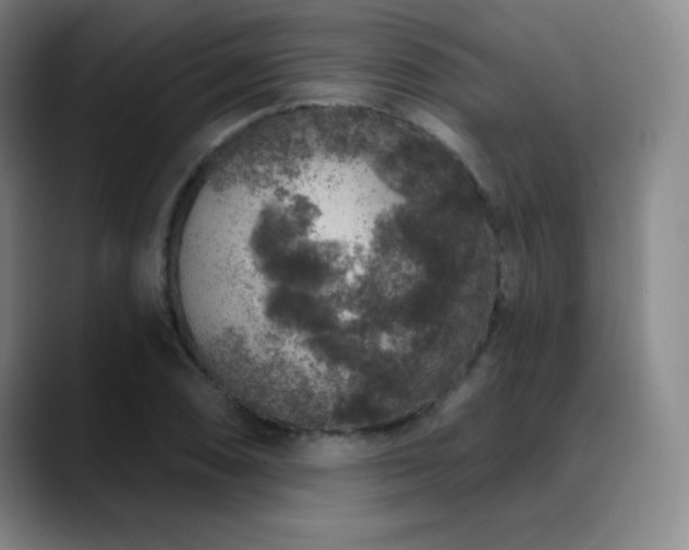X0000090441074200707131215