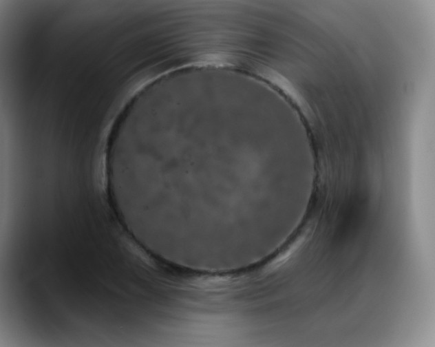 X0000090441075200707131215