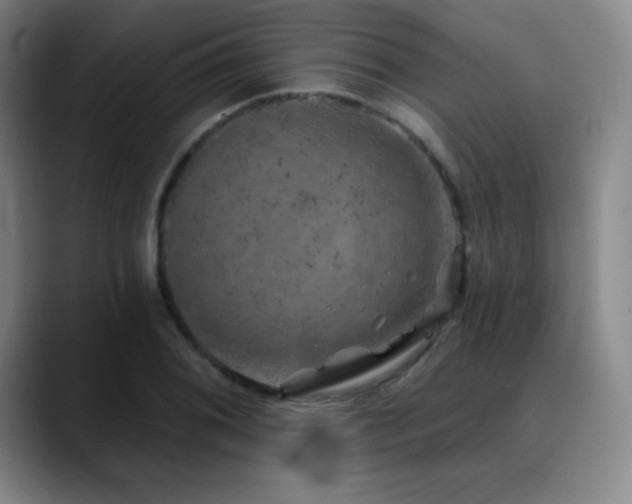 X0000090441076200707131215