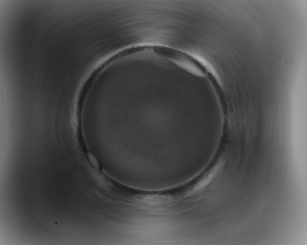 X0000090441077200707131215