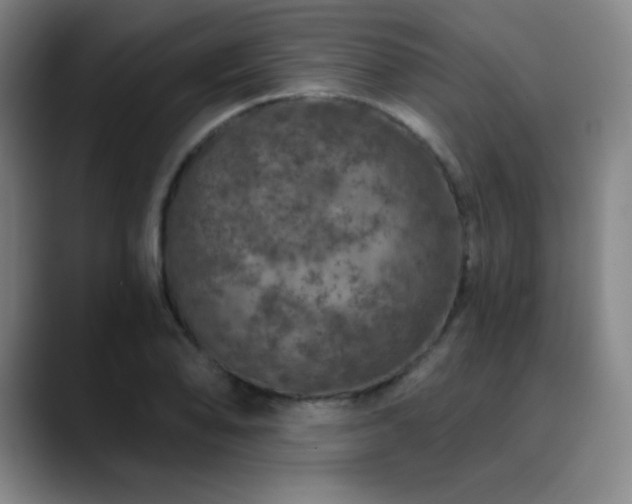 X0000090441078200707131215