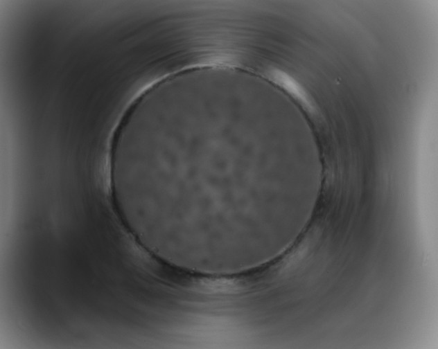 X0000090441079200707131215