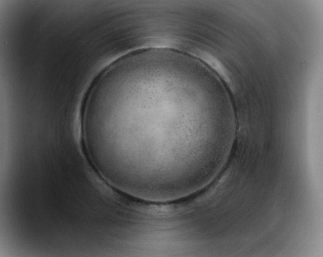 X0000090441080200707131215