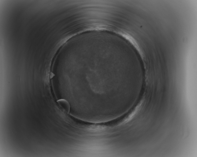 X0000090441081200707131215